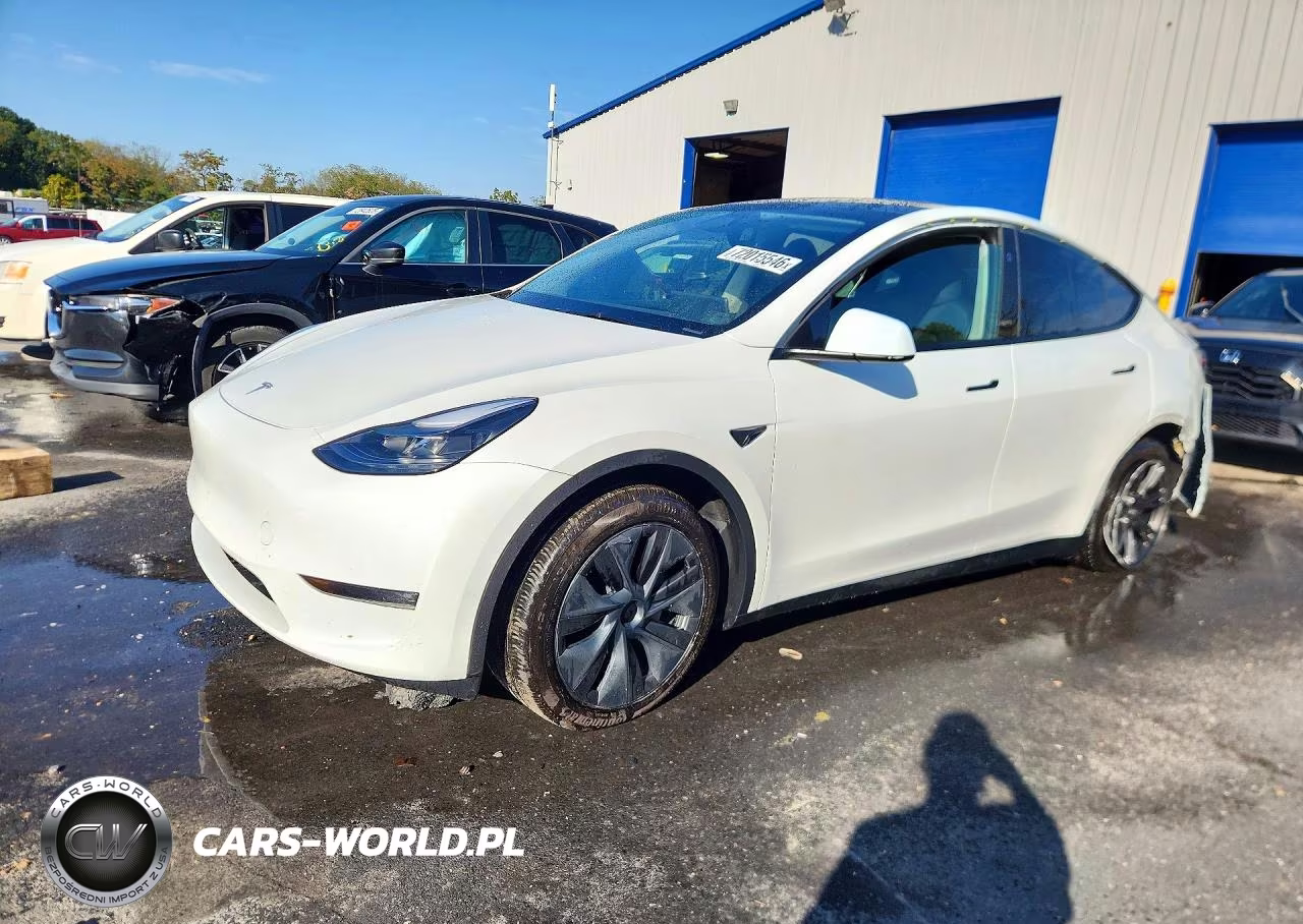 2025 Tesla Model Y VIN:7SAYGDEEXSF224930 - 1