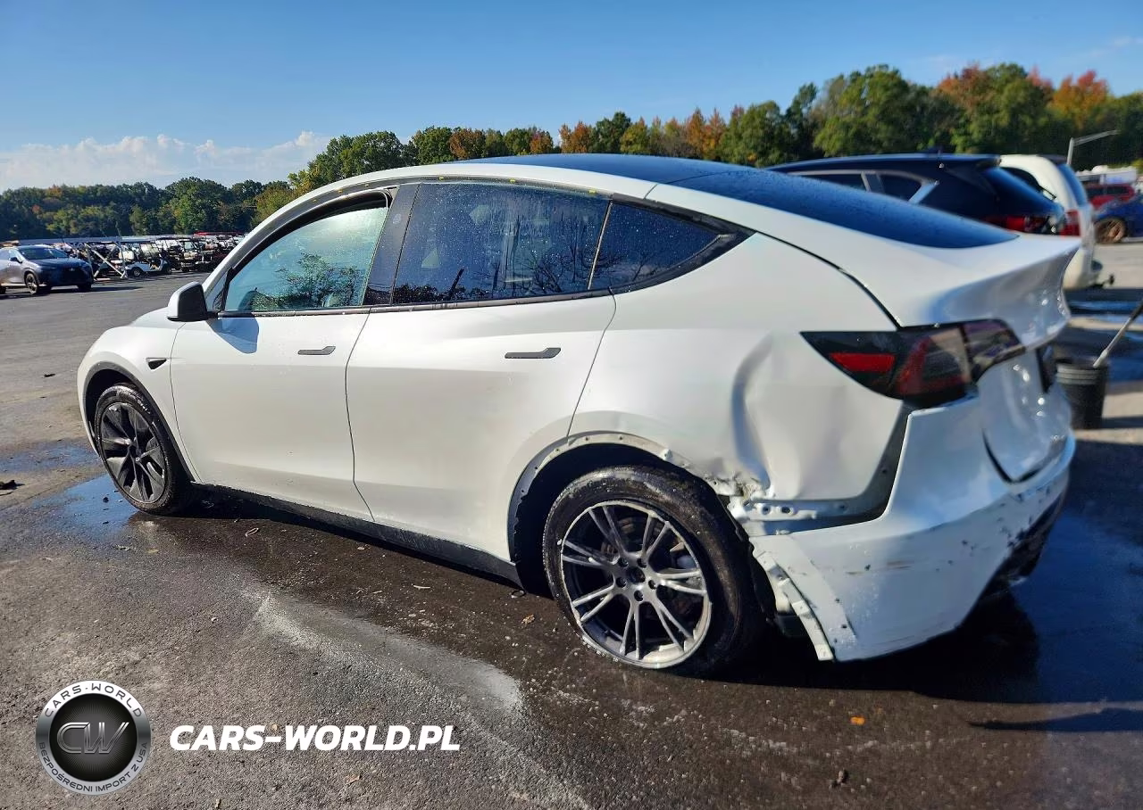 2025 Tesla Model Y VIN:7SAYGDEEXSF224930 - 2