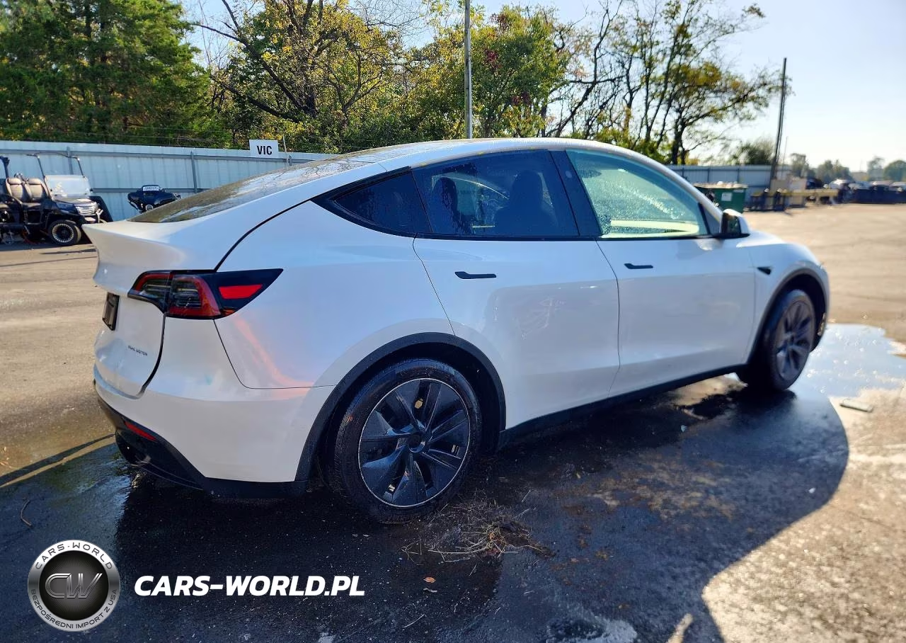 2025 Tesla Model Y VIN:7SAYGDEEXSF224930 - 3
