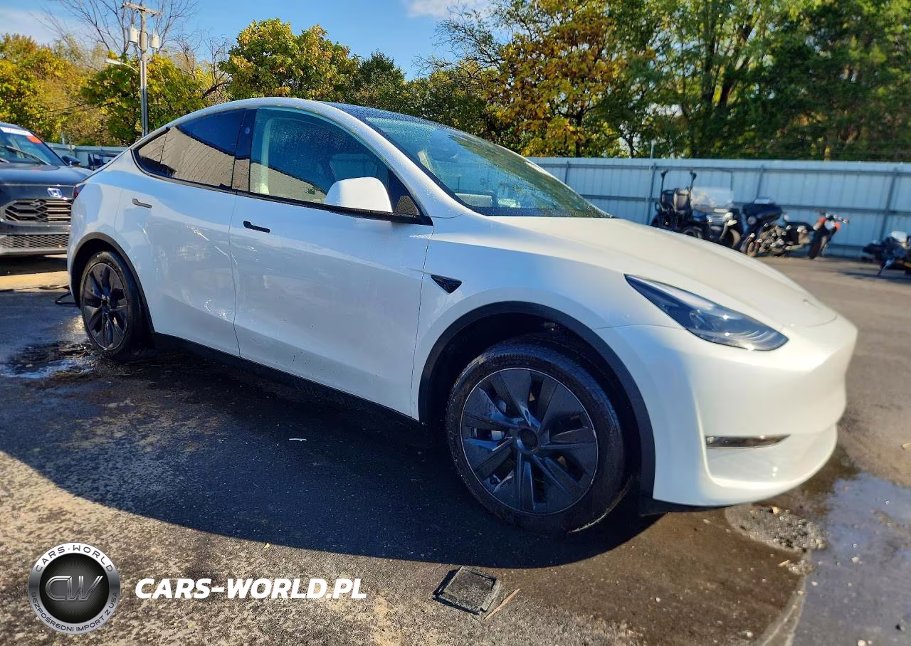 2025 Tesla Model Y VIN:7SAYGDEEXSF224930 - 4