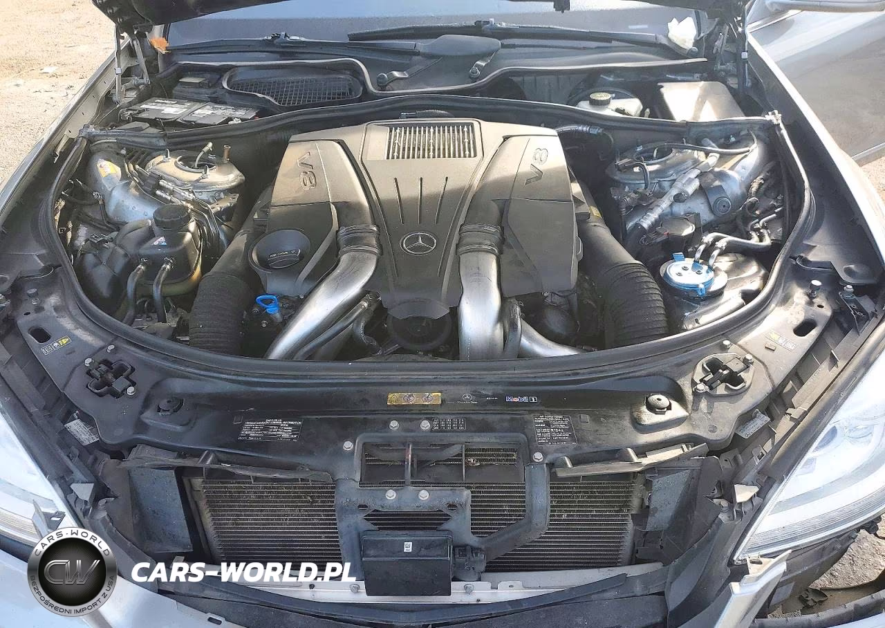 2013 Mercedes-Benz S 550 VIN:WDDNG7DB6DA494179 - 11