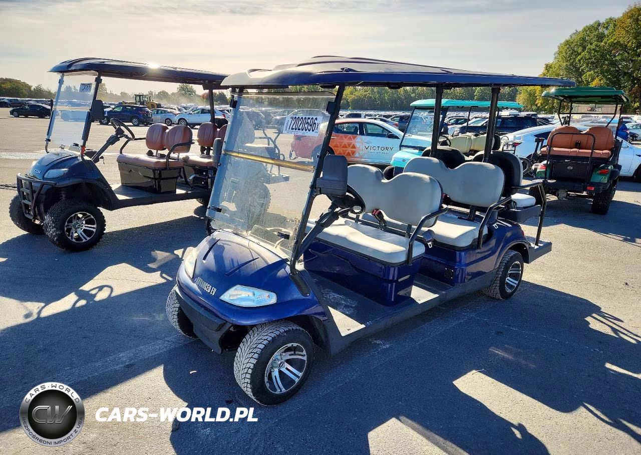 2021 Advanced Ev Golf Cart VIN:7LWDFAD09M1050691 - 2