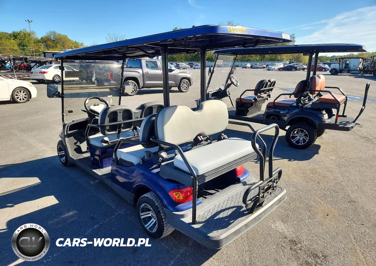 2021 Advanced Ev Golf Cart VIN:7LWDFAD09M1050691 - 3