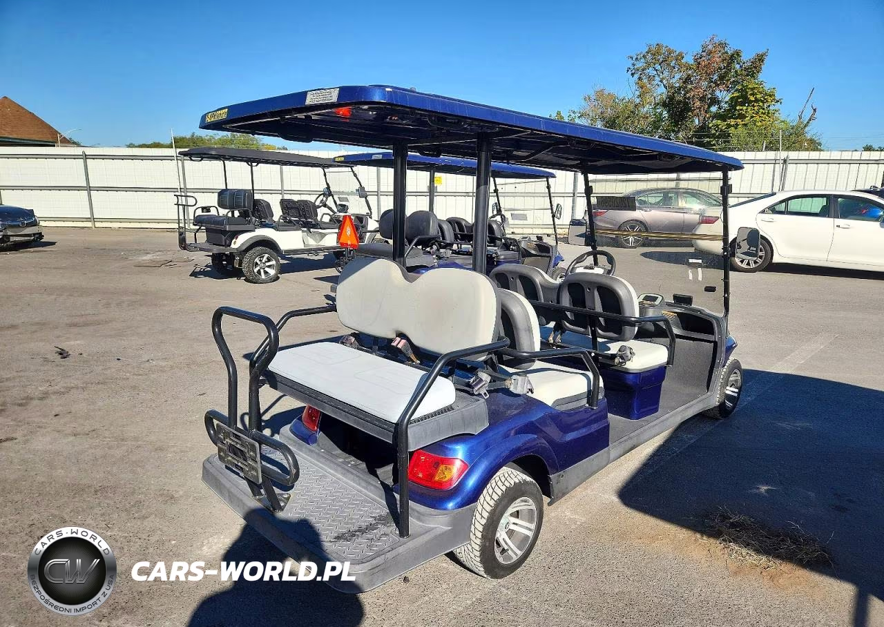 2021 Advanced Ev Golf Cart VIN:7LWDFAD09M1050691 - 4