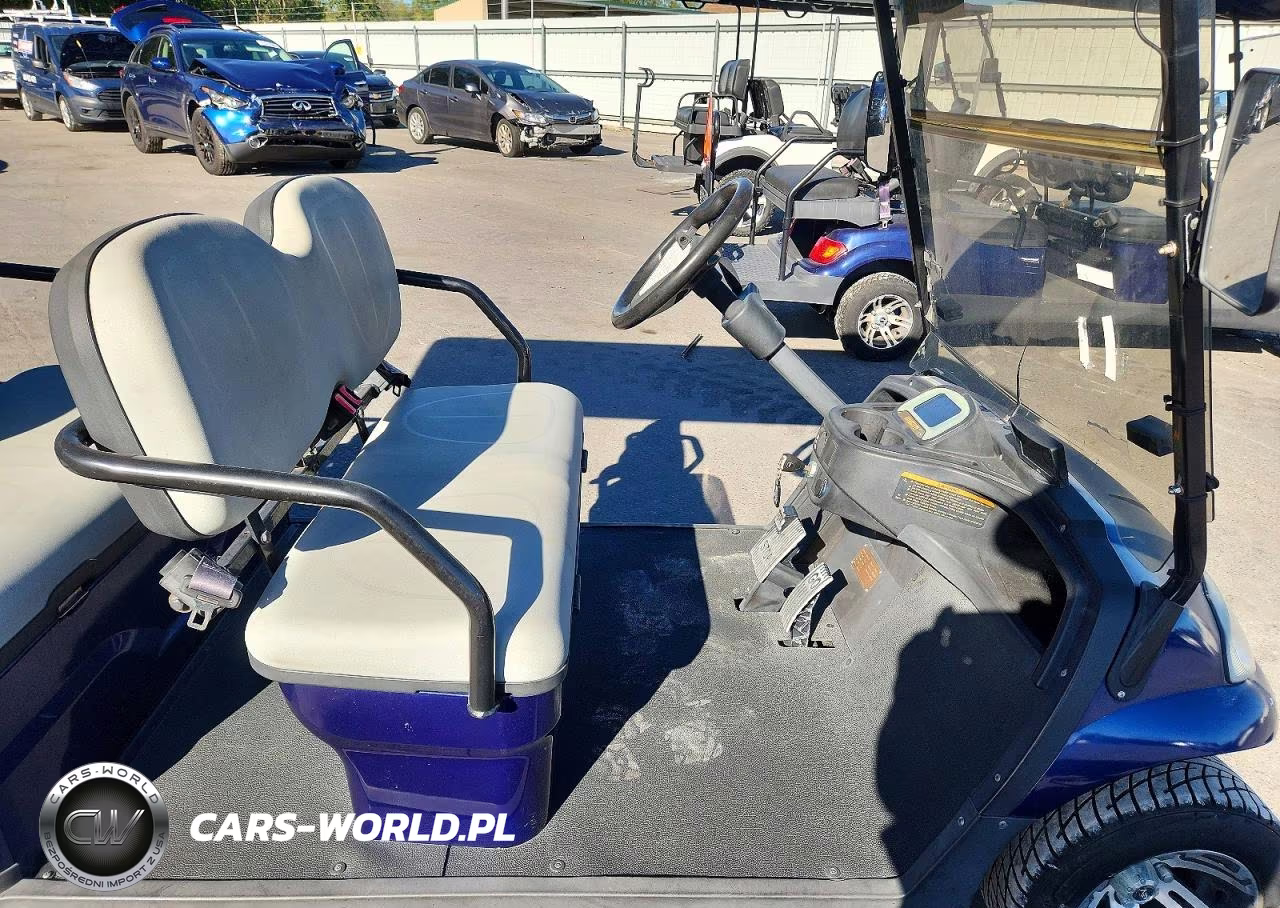2021 Advanced Ev Golf Cart VIN:7LWDFAD09M1050691 - 5