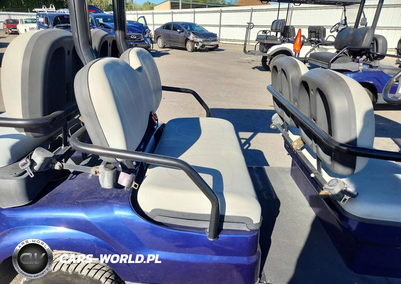 2021 Advanced Ev Golf Cart VIN:7LWDFAD09M1050691 - 6