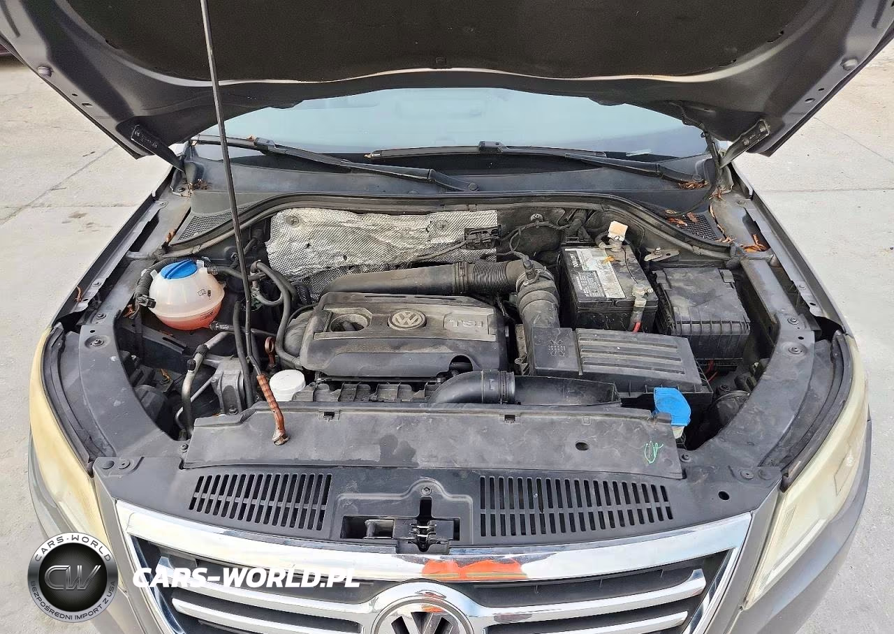 2011 Volkswagen Tiguan S VIN:WVGBV7AX3BW506349 - 12