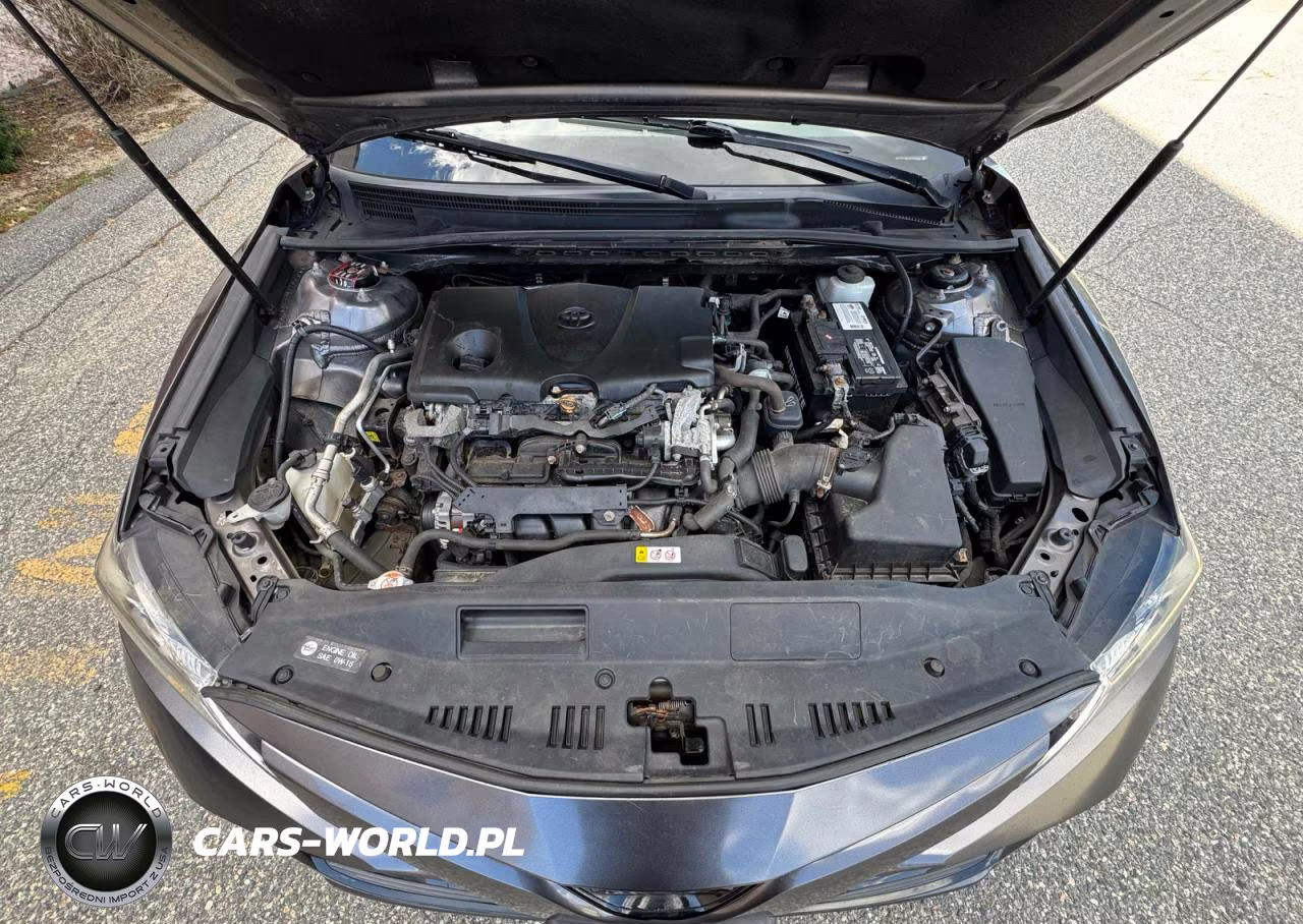 2019 Toyota Camry Le VIN:4T1B11HK7KU268200 - 7