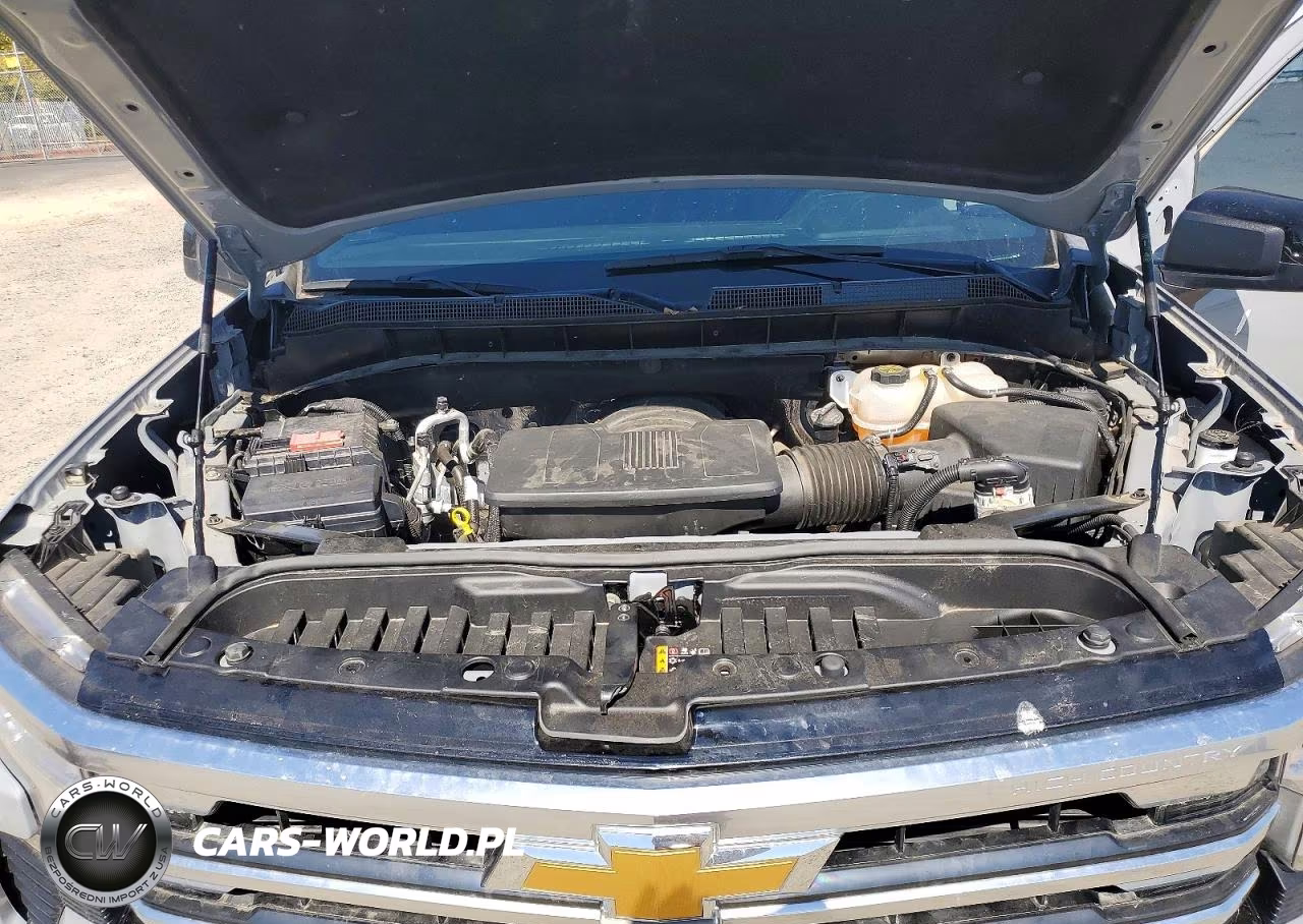 CHEVROLET SILVERADO 1500 VIN:3GCUDFED8RG142707 - 11