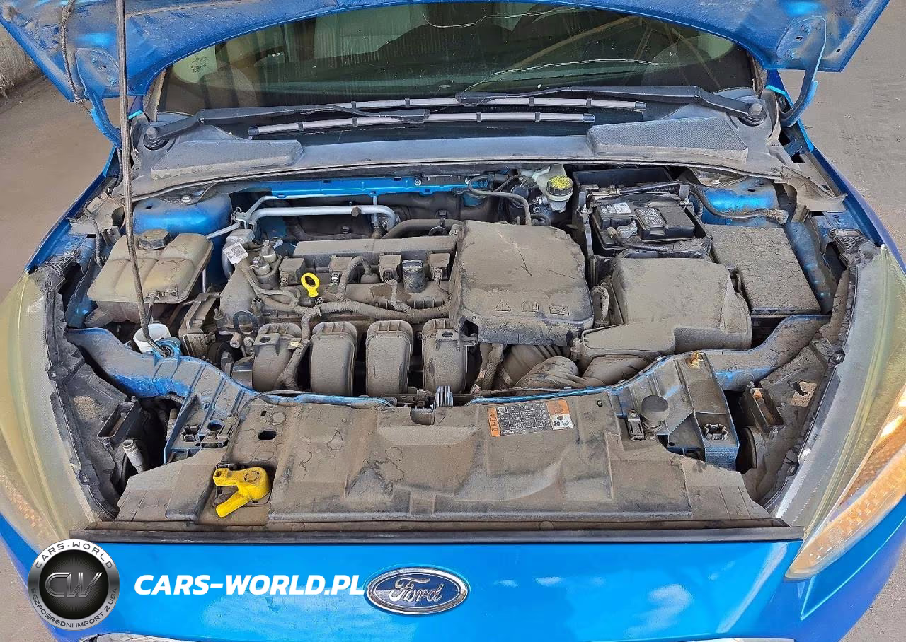 2016 Ford Focus Se VIN:1FADP3F21GL395893 - 11