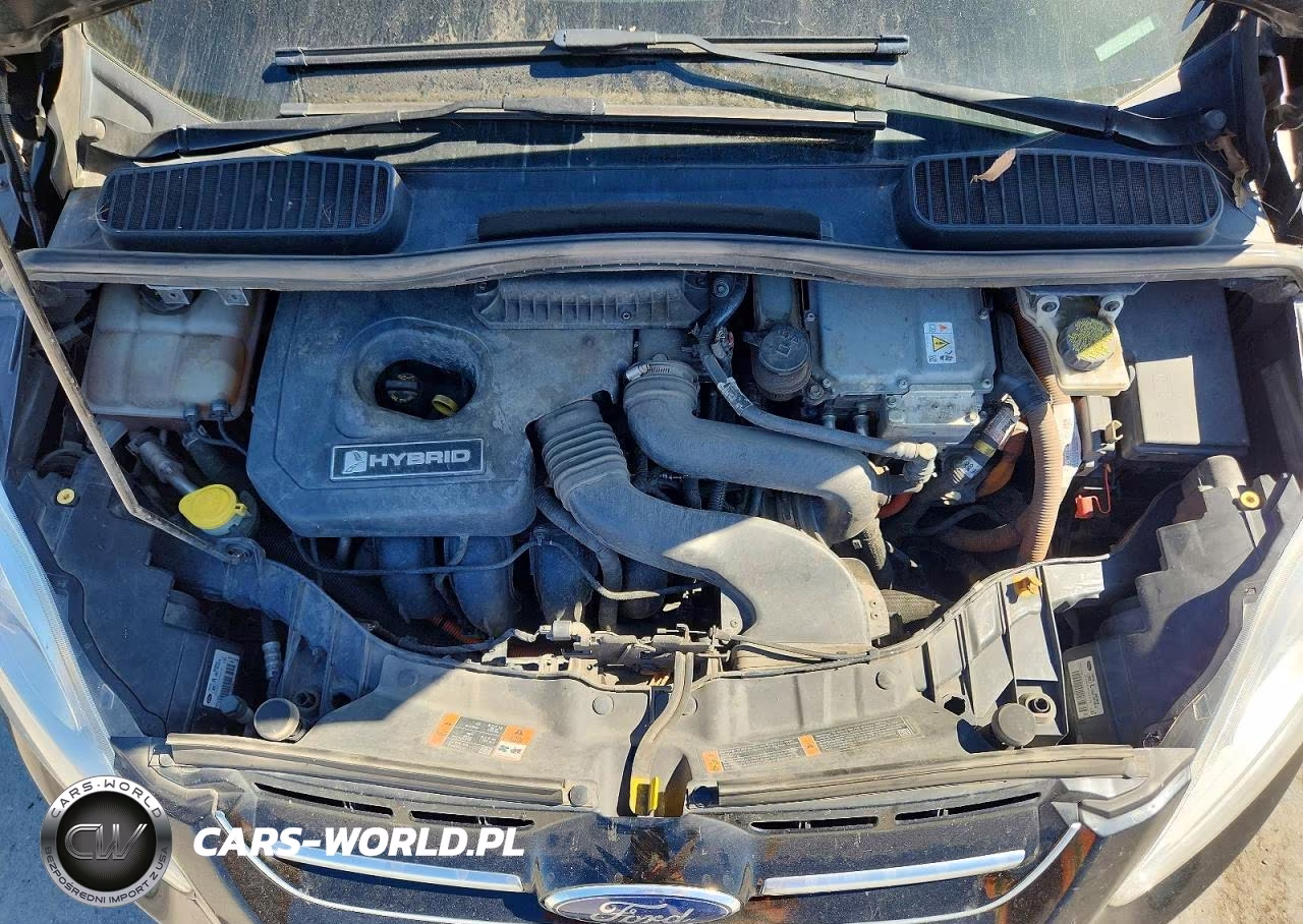 2016 Ford C-Max Sel VIN:1FADP5BU7GL107412 - 11