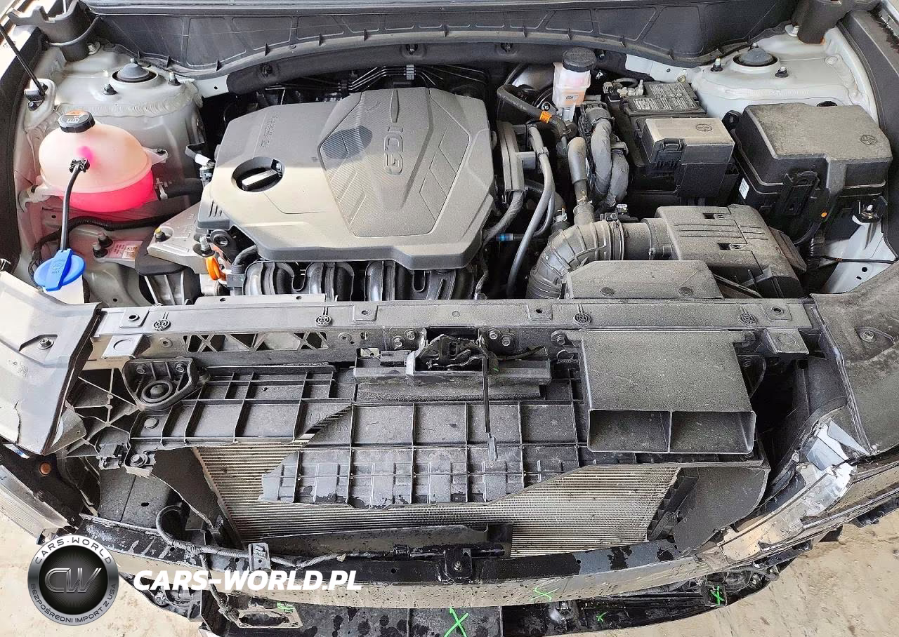 2024 Hyundai Tucson Limited VIN:5NMJE3DE0RH388891 - 12