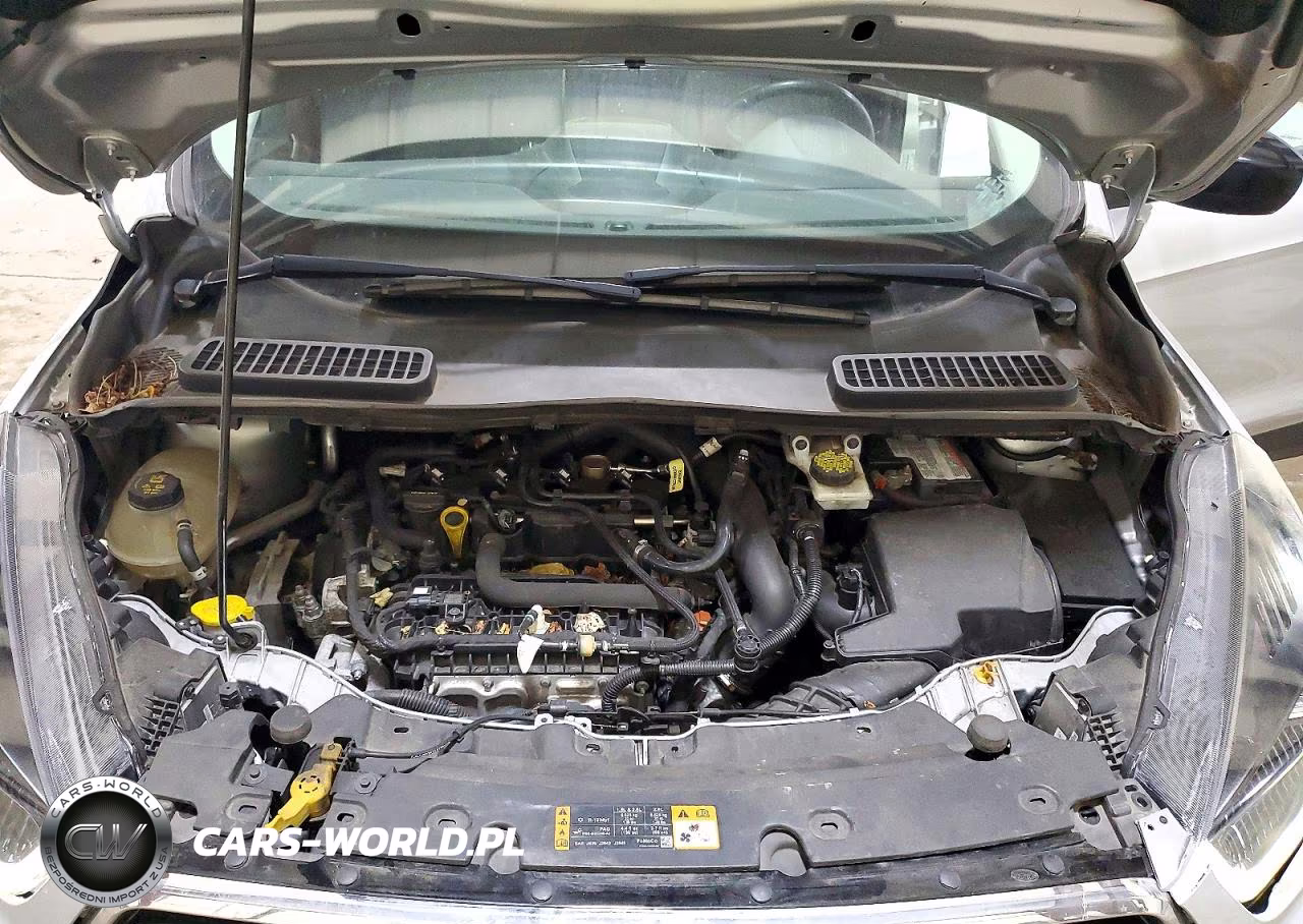 2019 Ford Escape Se VIN:1FMCU9GD1KUB76402 - 12