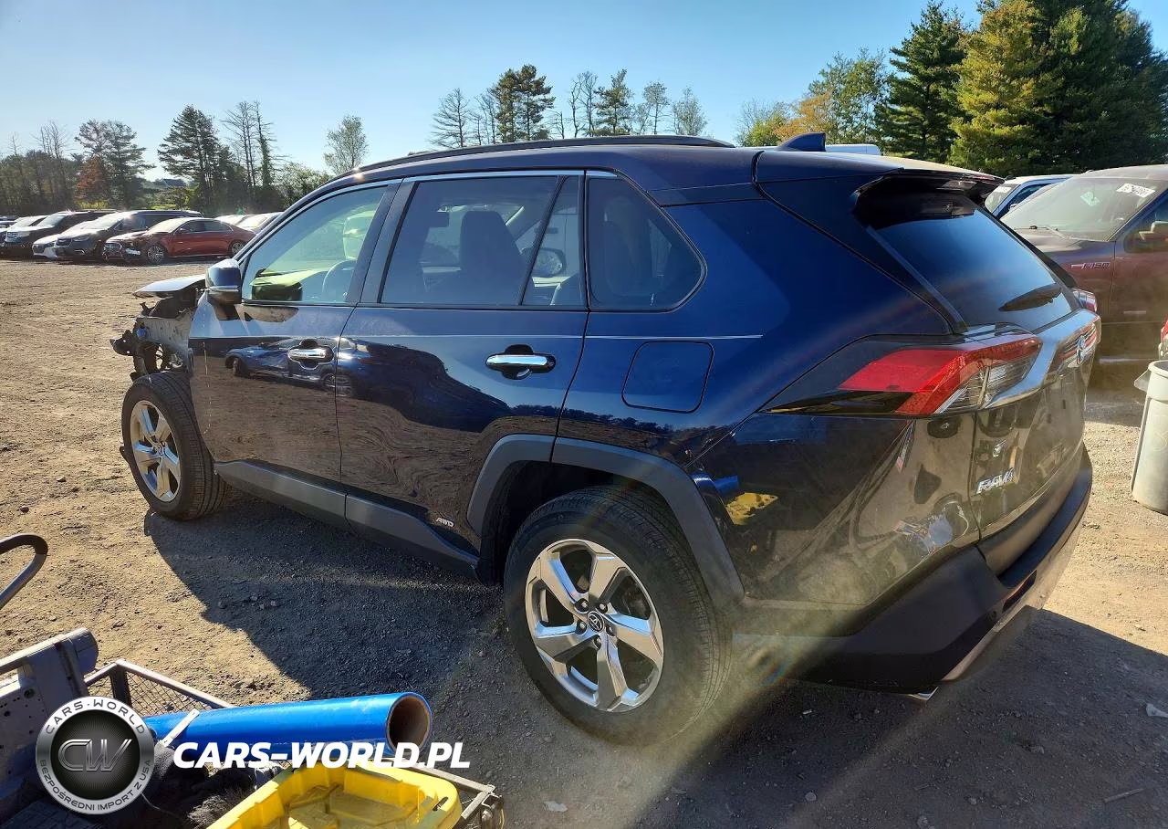 2019 Toyota Rav4 Limited VIN:JTMDWRFV3KD007849 - 2
