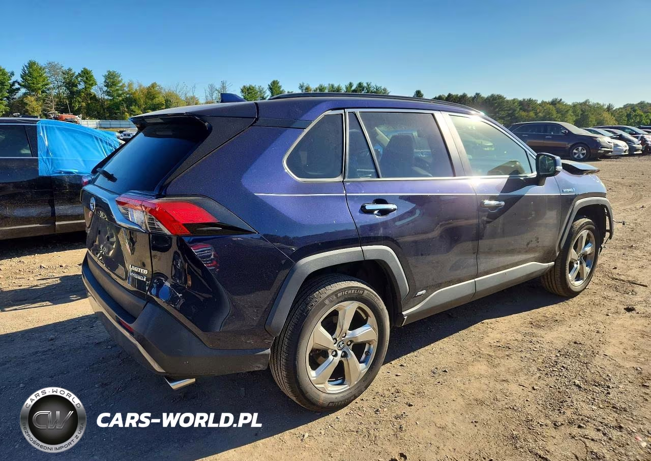 2019 Toyota Rav4 Limited VIN:JTMDWRFV3KD007849 - 3