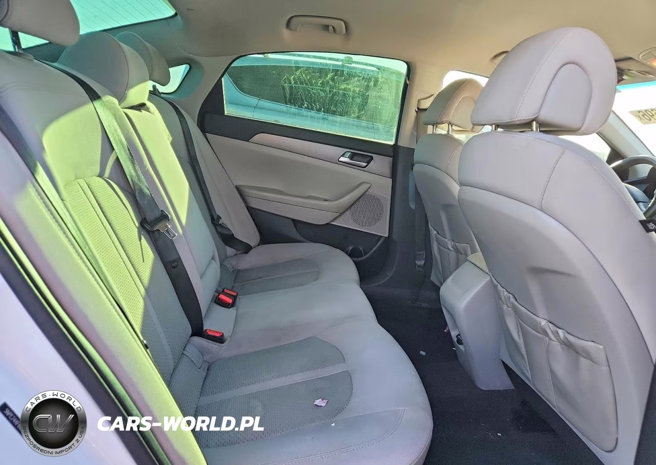 2016 Hyundai Sonata Se VIN:5NPE24AF6GH299887 - 10