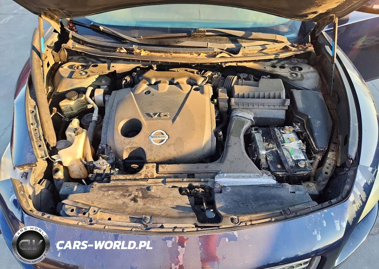 2009 Nissan Maxima 3.5 S VIN:1N4AA51E29C812314 - 11