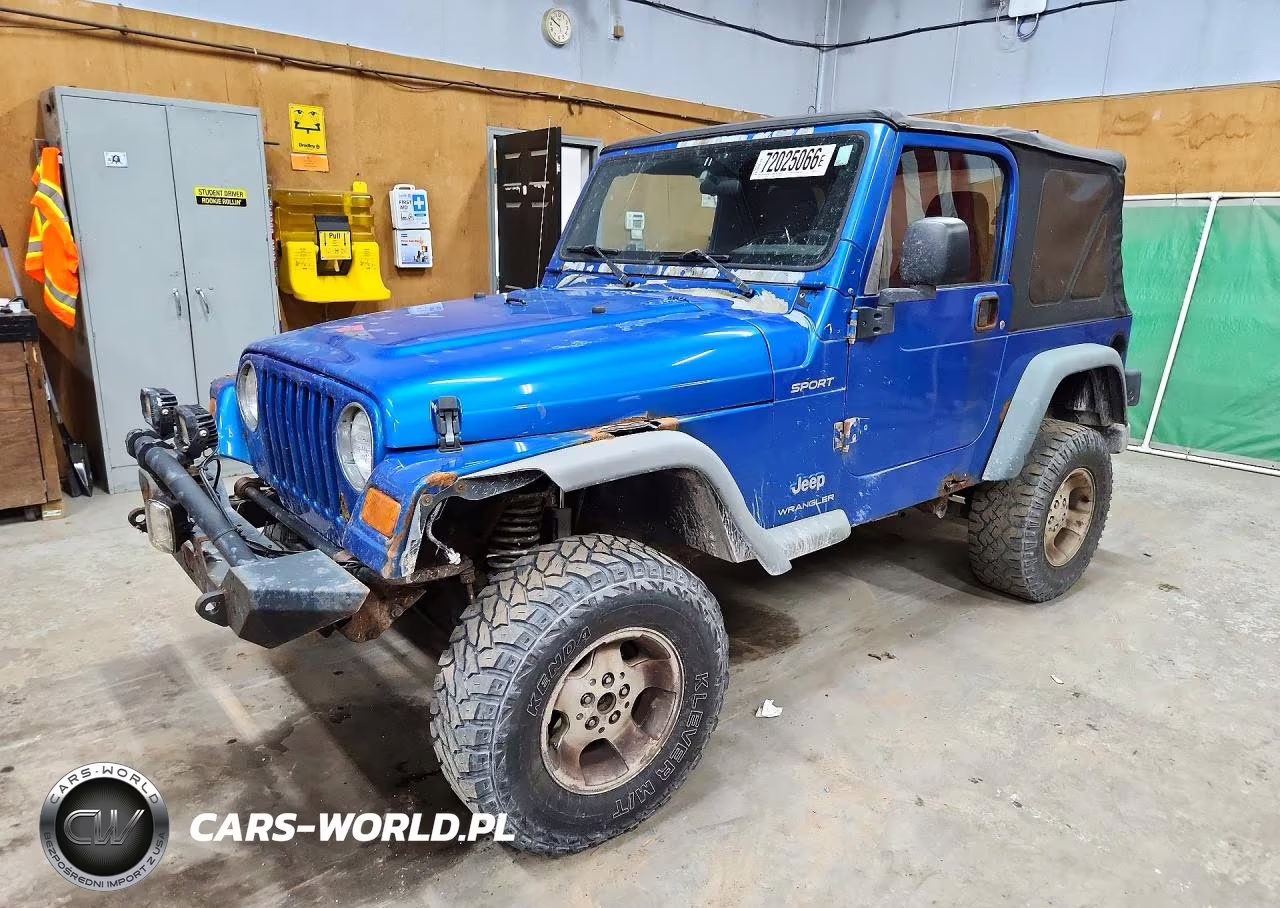 2003 Jeep Wrangler - Tj Sport VIN:1J4FA49SX3P331113 - 1