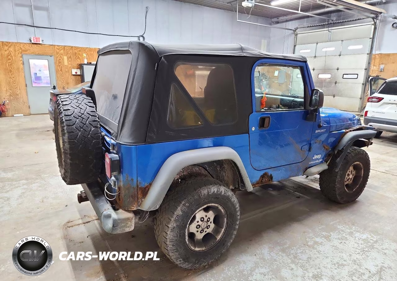 2003 Jeep Wrangler - Tj Sport VIN:1J4FA49SX3P331113 - 3