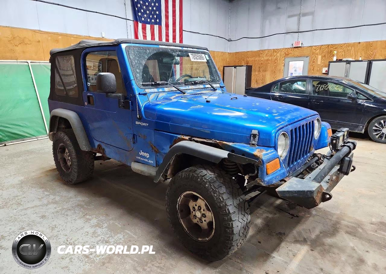 2003 Jeep Wrangler - Tj Sport VIN:1J4FA49SX3P331113 - 4
