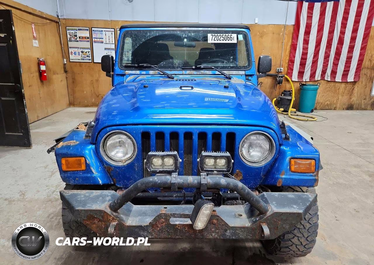 2003 Jeep Wrangler - Tj Sport VIN:1J4FA49SX3P331113 - 5