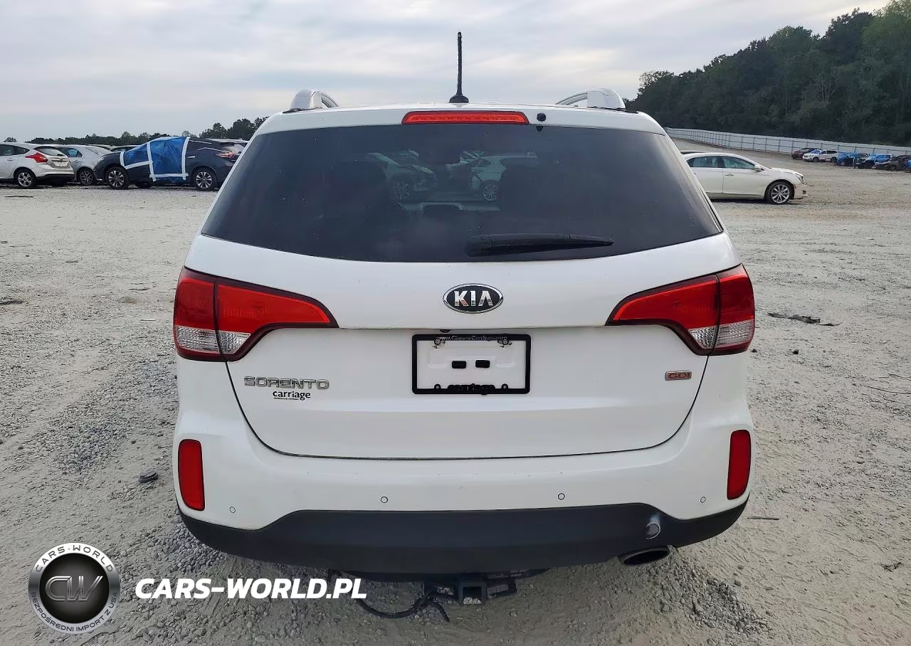 2014 Kia Sorento Lx VIN:5XYKT4A62EG509714 - 6