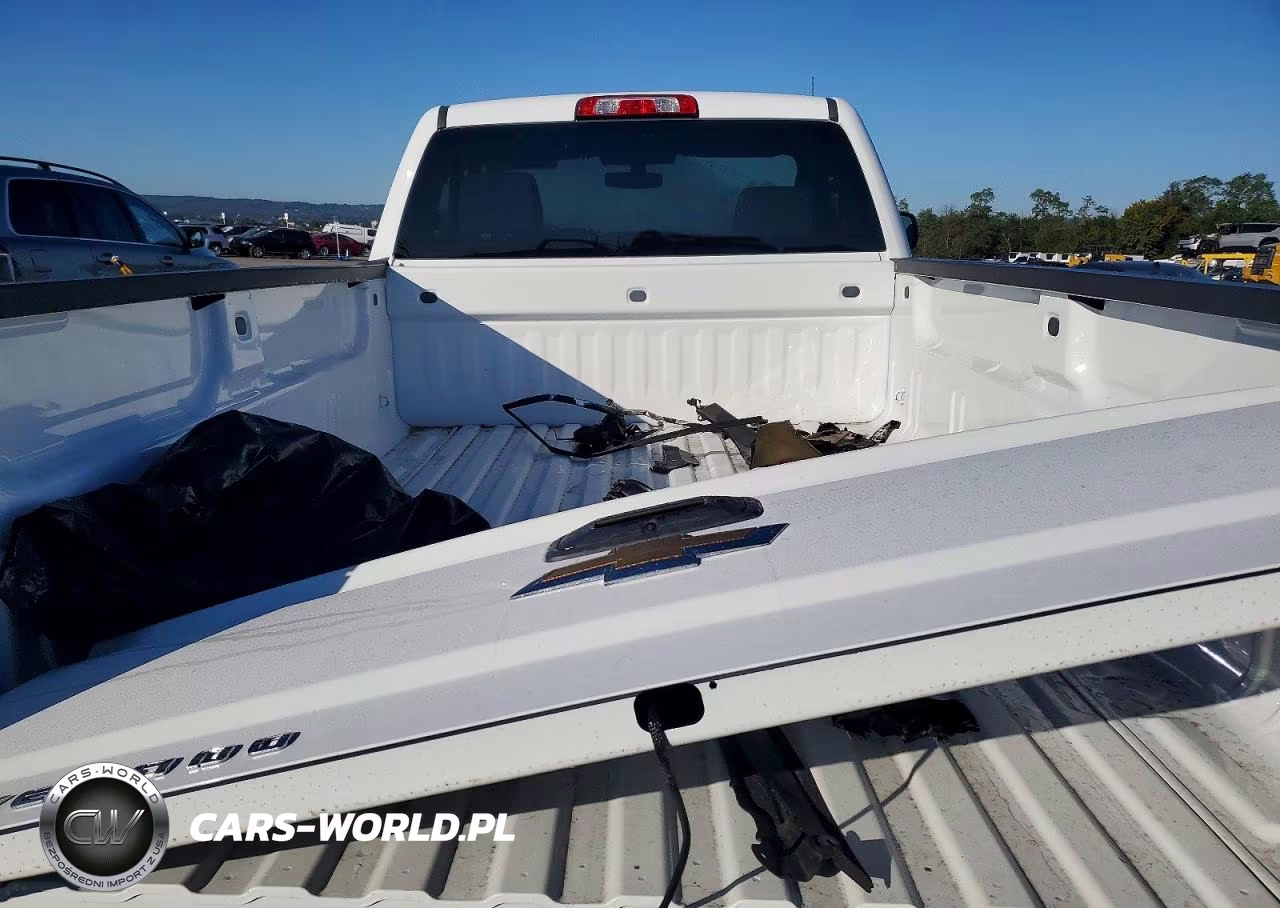 2017 Chevrolet Silverado C1500 VIN:1GCNCNEH2HZ162454 - 10