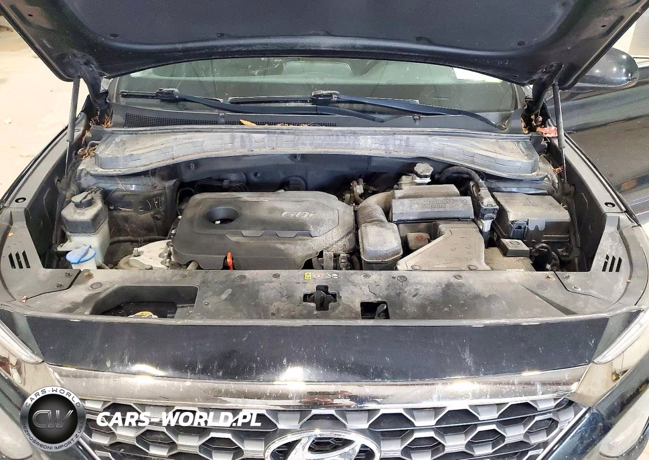 2019 Hyundai Santa Fe Sel Plus 2.4L VIN:5NMS3CAD7KH128760 - 12