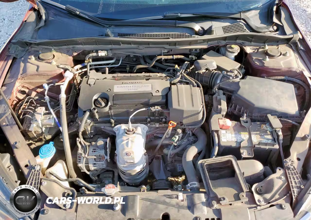 2014 Honda Accord Lx VIN:1HGCR2F31EA029350 - 11