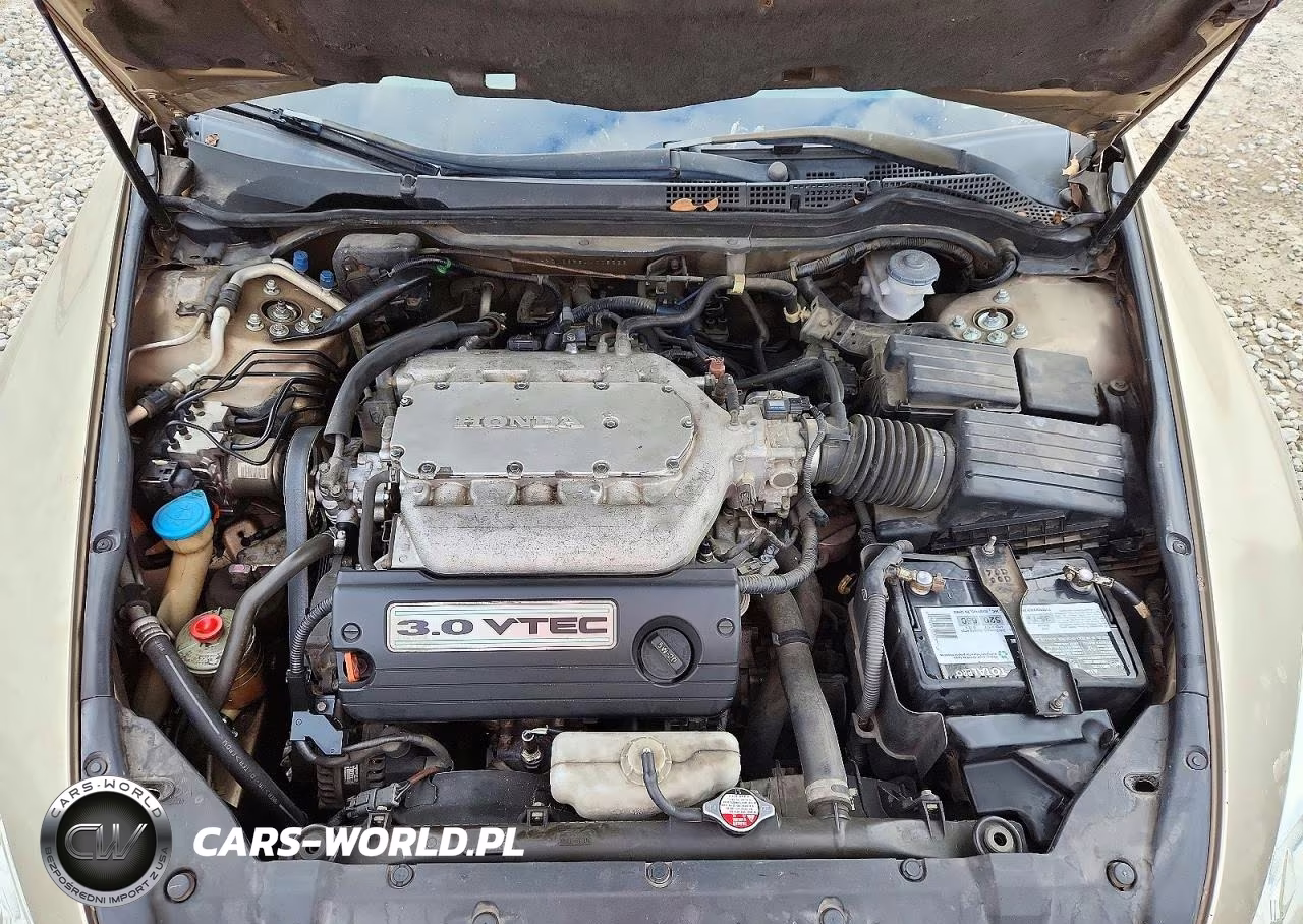 2004 Honda Accord Ex VIN:1HGCM66584A008226 - 11