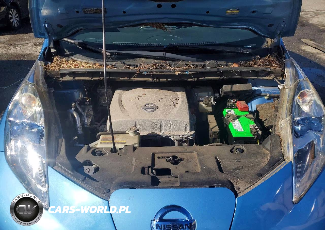 2013 Nissan Leaf S VIN:1N4AZ0CP1DC410447 - 12