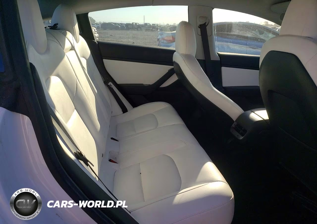 2020 Tesla Model 3 VIN:5YJ3E1EAXLF599095 - 10