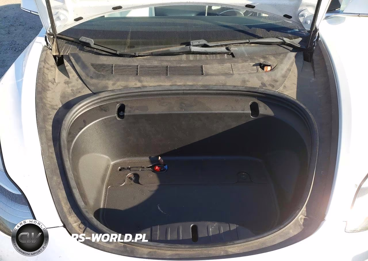 2020 Tesla Model 3 VIN:5YJ3E1EAXLF599095 - 11