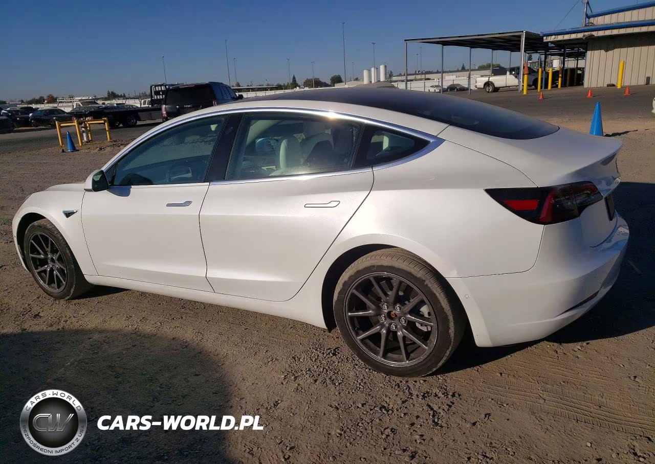 2020 Tesla Model 3 VIN:5YJ3E1EAXLF599095 - 2