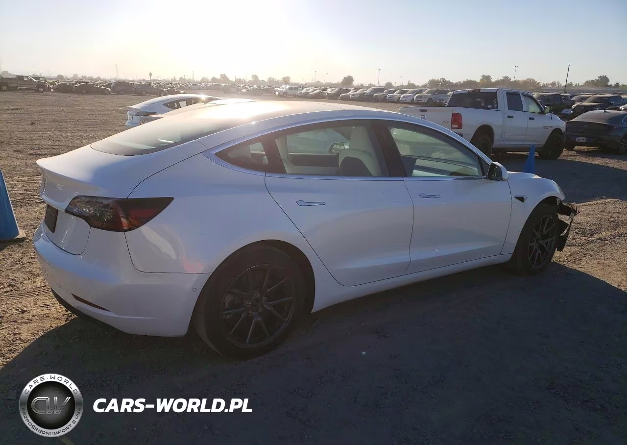2020 Tesla Model 3 VIN:5YJ3E1EAXLF599095 - 3