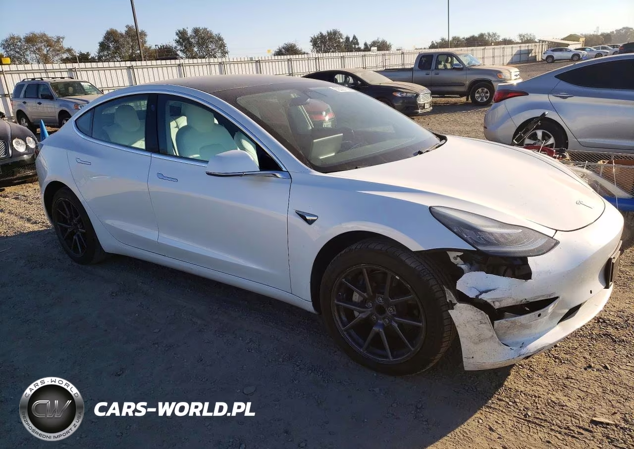 2020 Tesla Model 3 VIN:5YJ3E1EAXLF599095 - 4