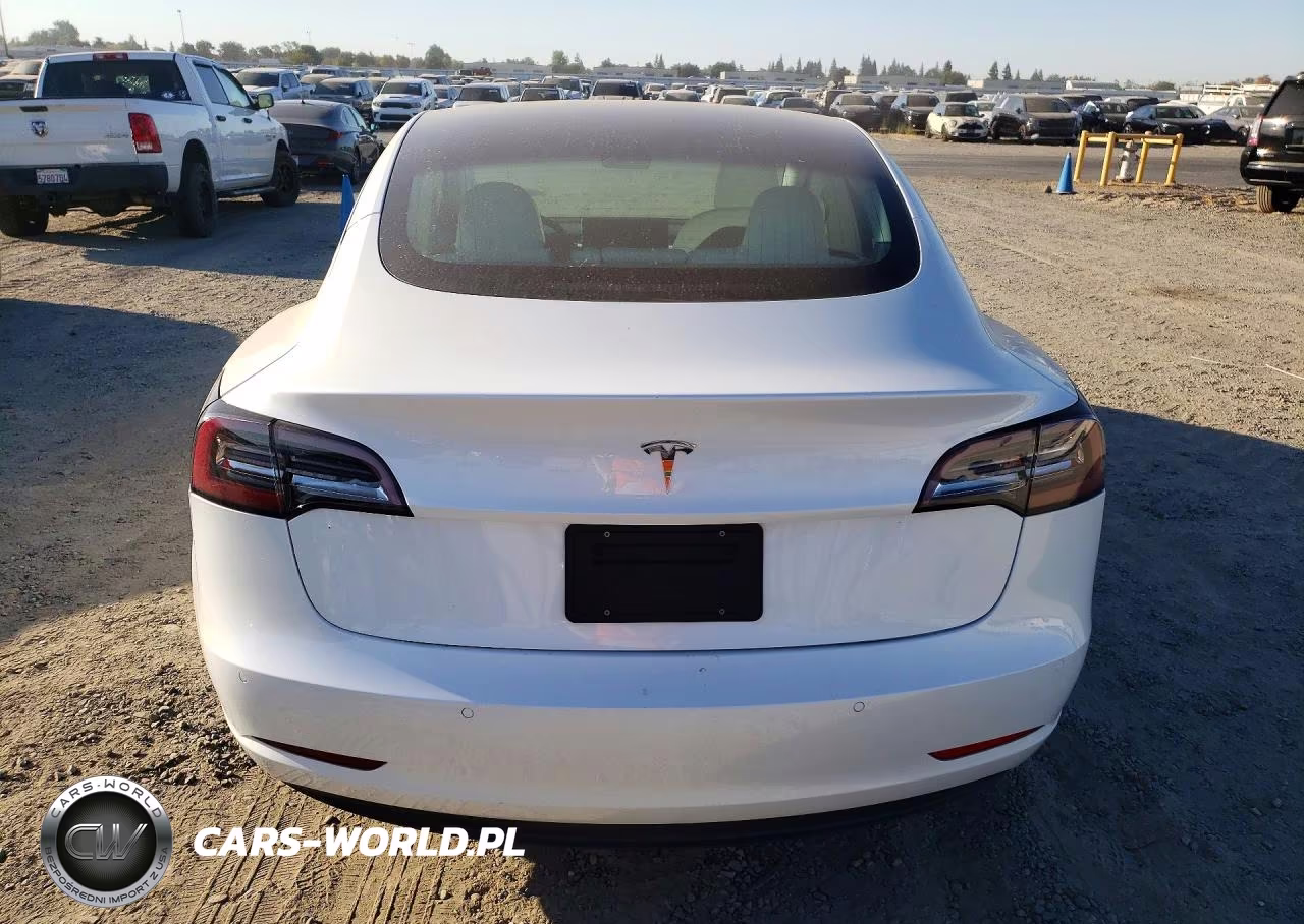 2020 Tesla Model 3 VIN:5YJ3E1EAXLF599095 - 6