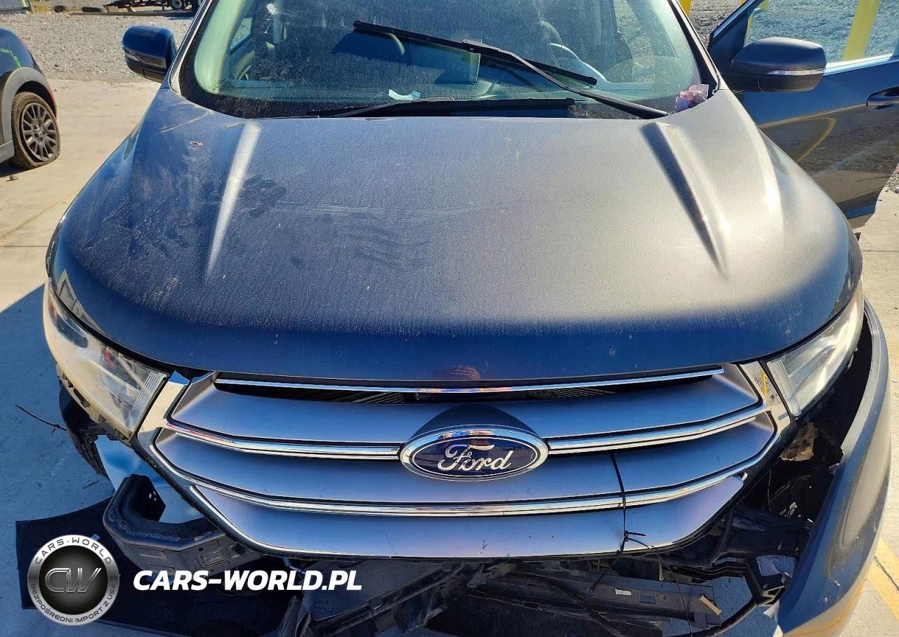 2016 Ford Edge Sel VIN:2FMPK4J81GBC59654 - 12