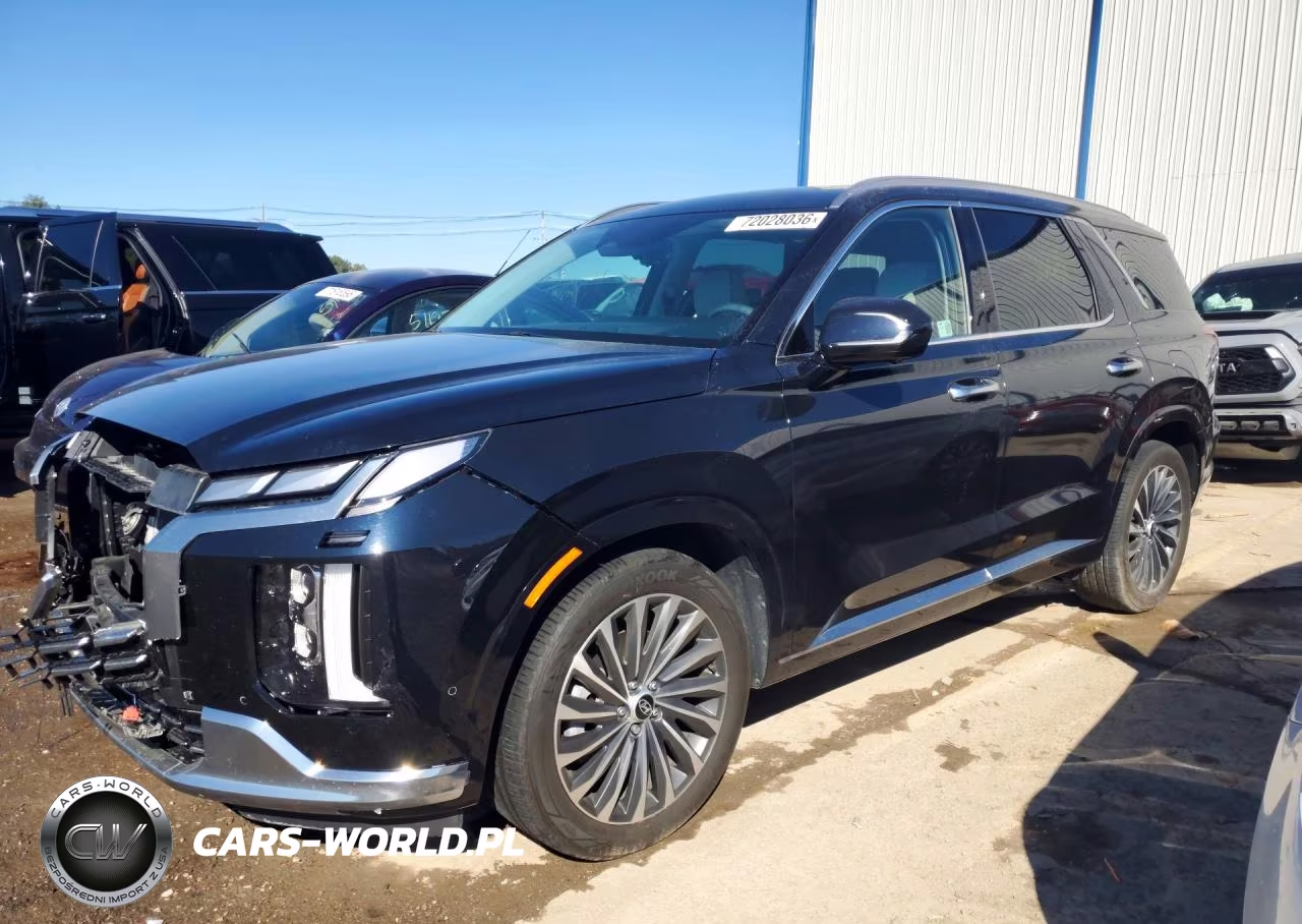 2024 Hyundai Palisade Calligraphy VIN:KM8R7DGE9RU729417 - 1