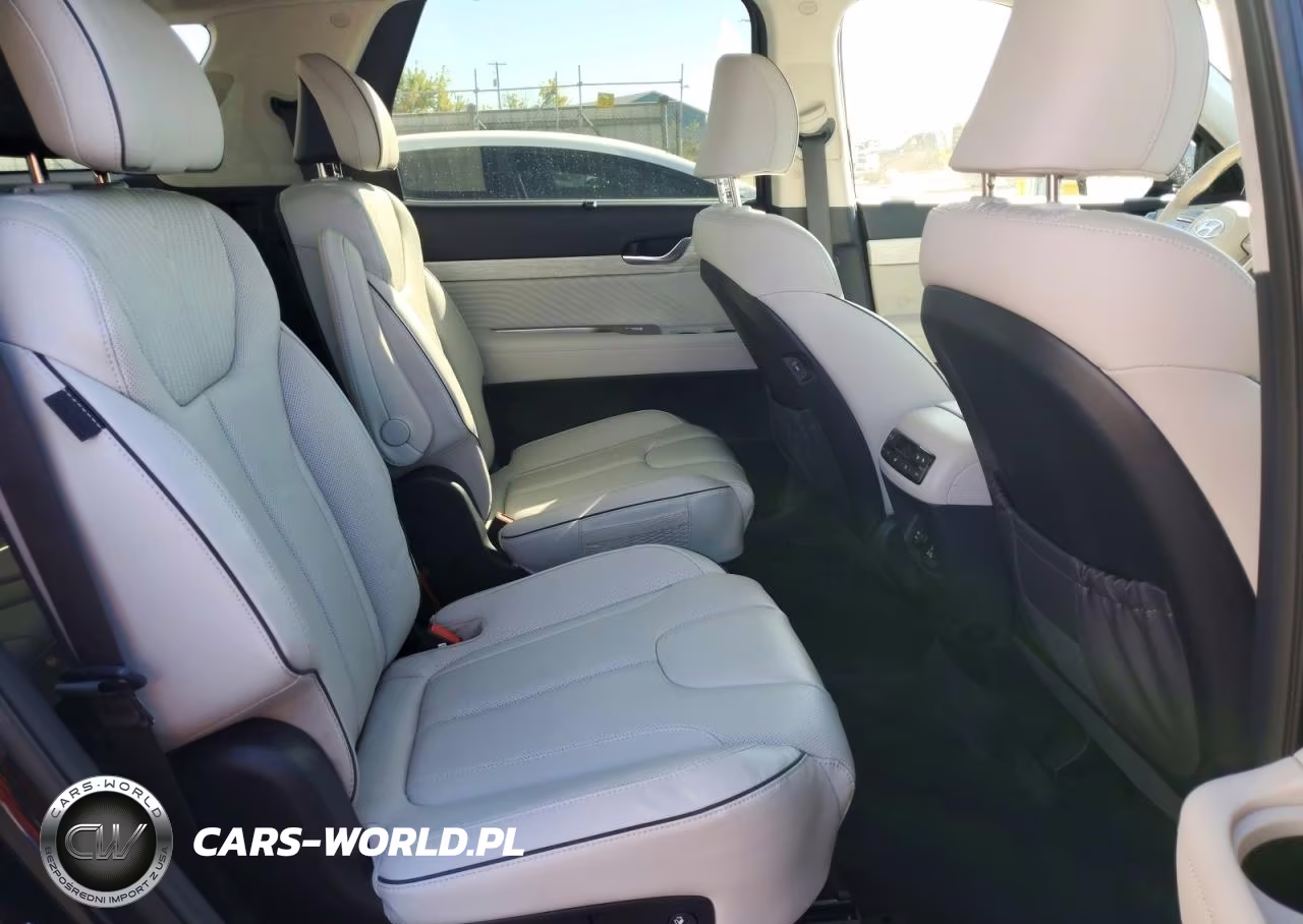 2024 Hyundai Palisade Calligraphy VIN:KM8R7DGE9RU729417 - 11