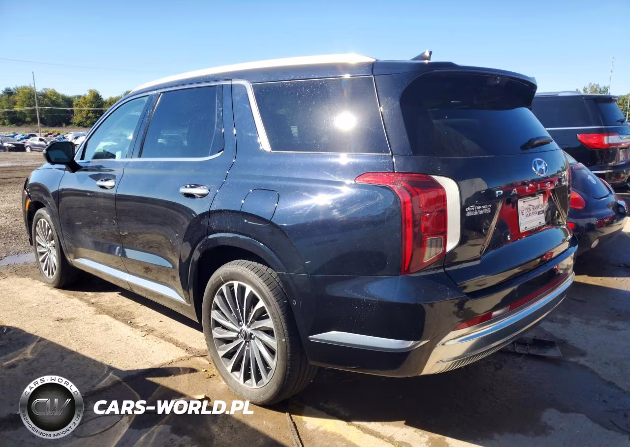 2024 Hyundai Palisade Calligraphy VIN:KM8R7DGE9RU729417 - 2