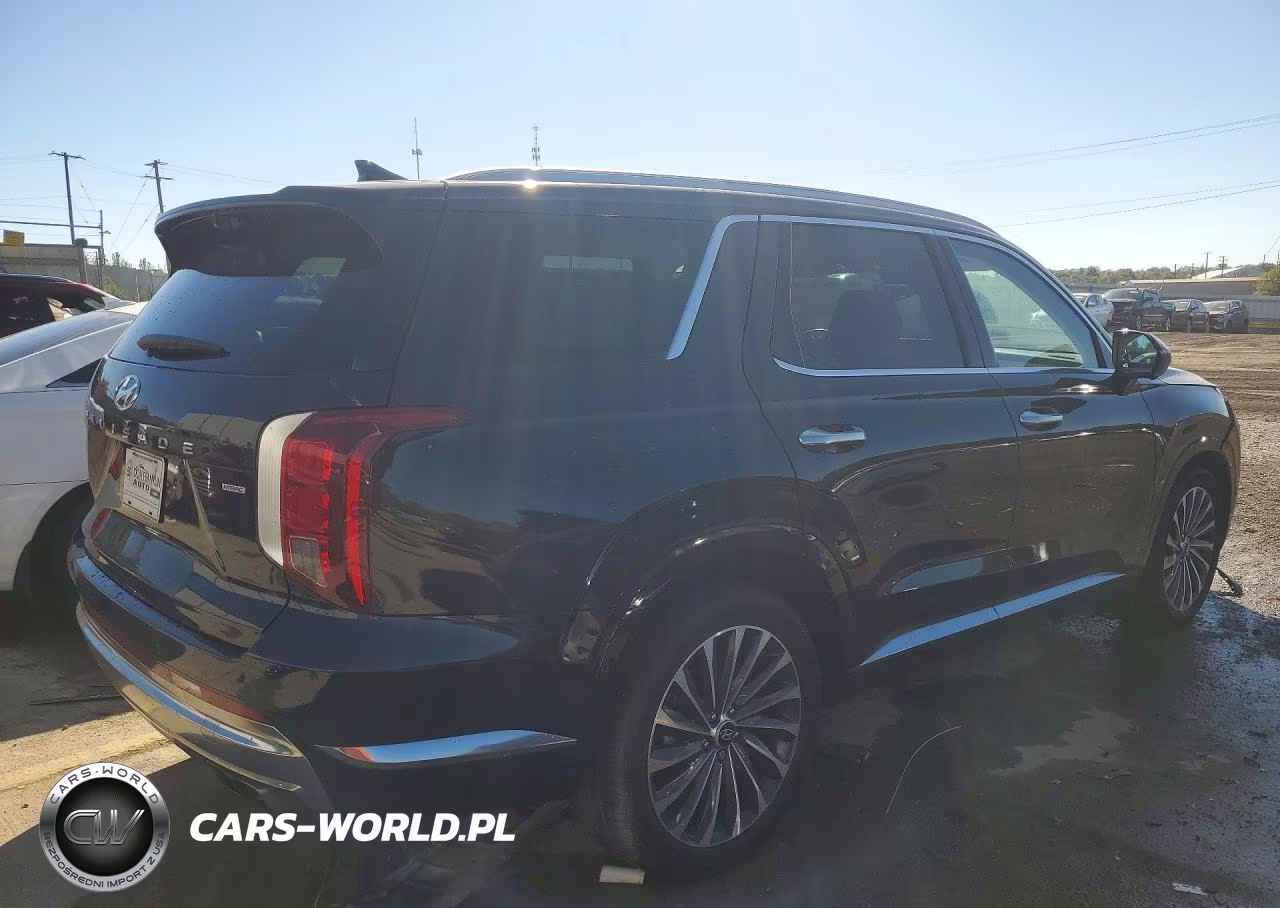 2024 Hyundai Palisade Calligraphy VIN:KM8R7DGE9RU729417 - 3