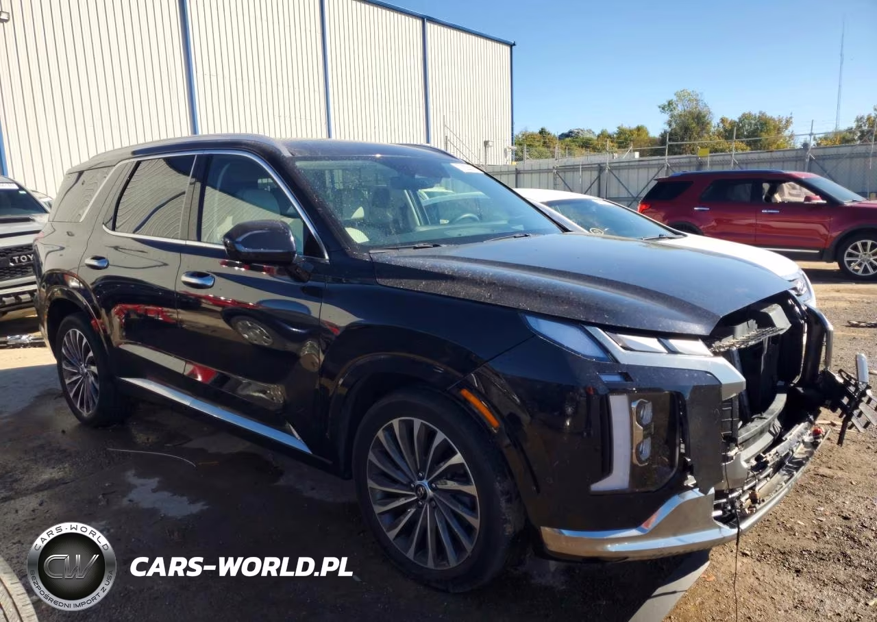 2024 Hyundai Palisade Calligraphy VIN:KM8R7DGE9RU729417 - 4