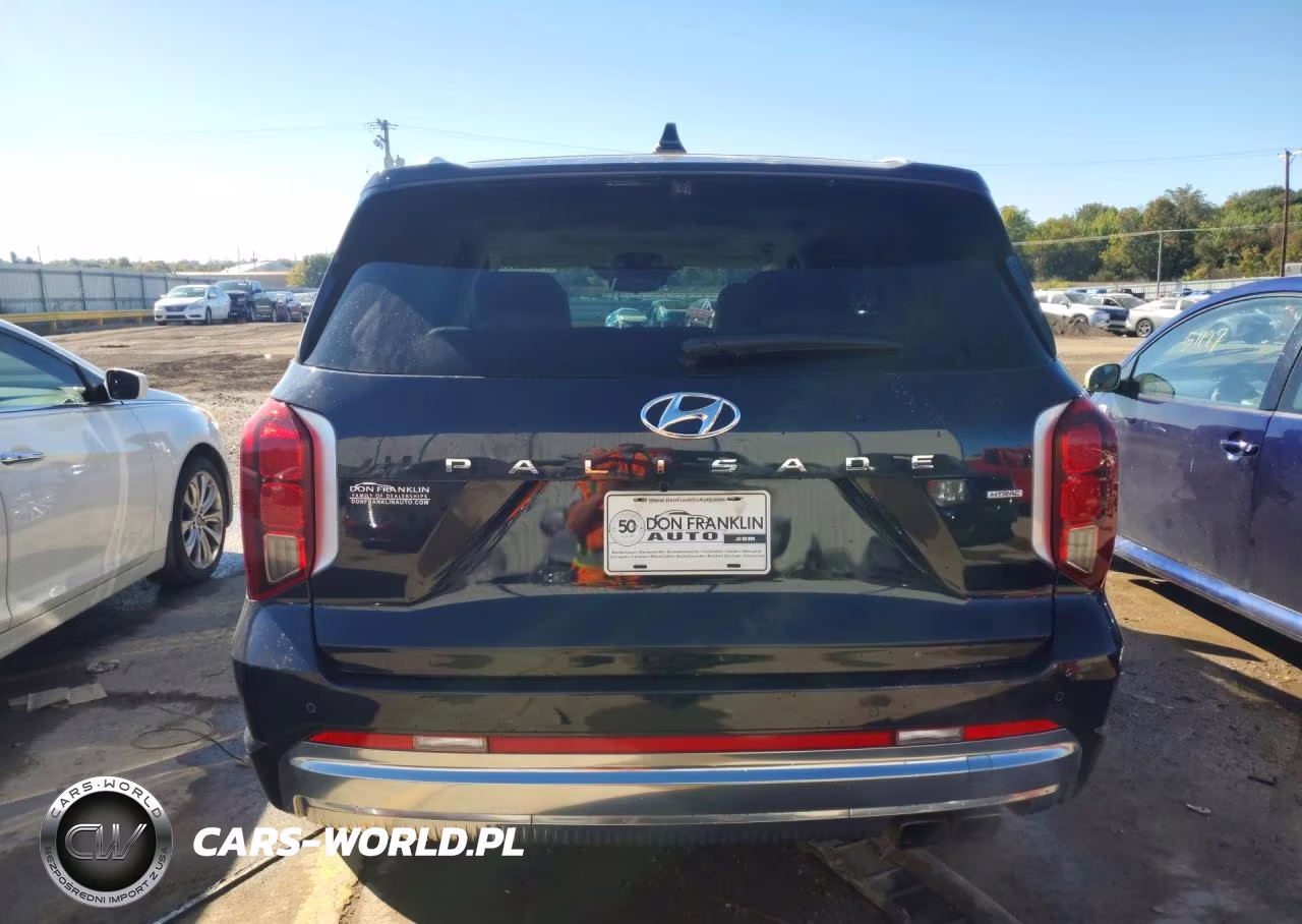 2024 Hyundai Palisade Calligraphy VIN:KM8R7DGE9RU729417 - 6