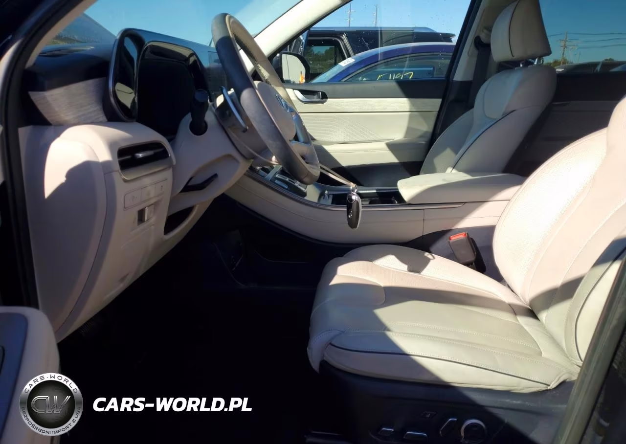2024 Hyundai Palisade Calligraphy VIN:KM8R7DGE9RU729417 - 7