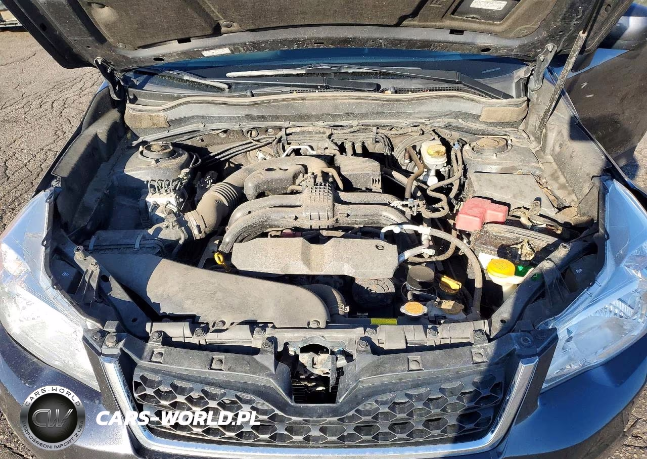 2015 Subaru Forester 2.5I Premium VIN:JF2SJADC9FH449401 - 12