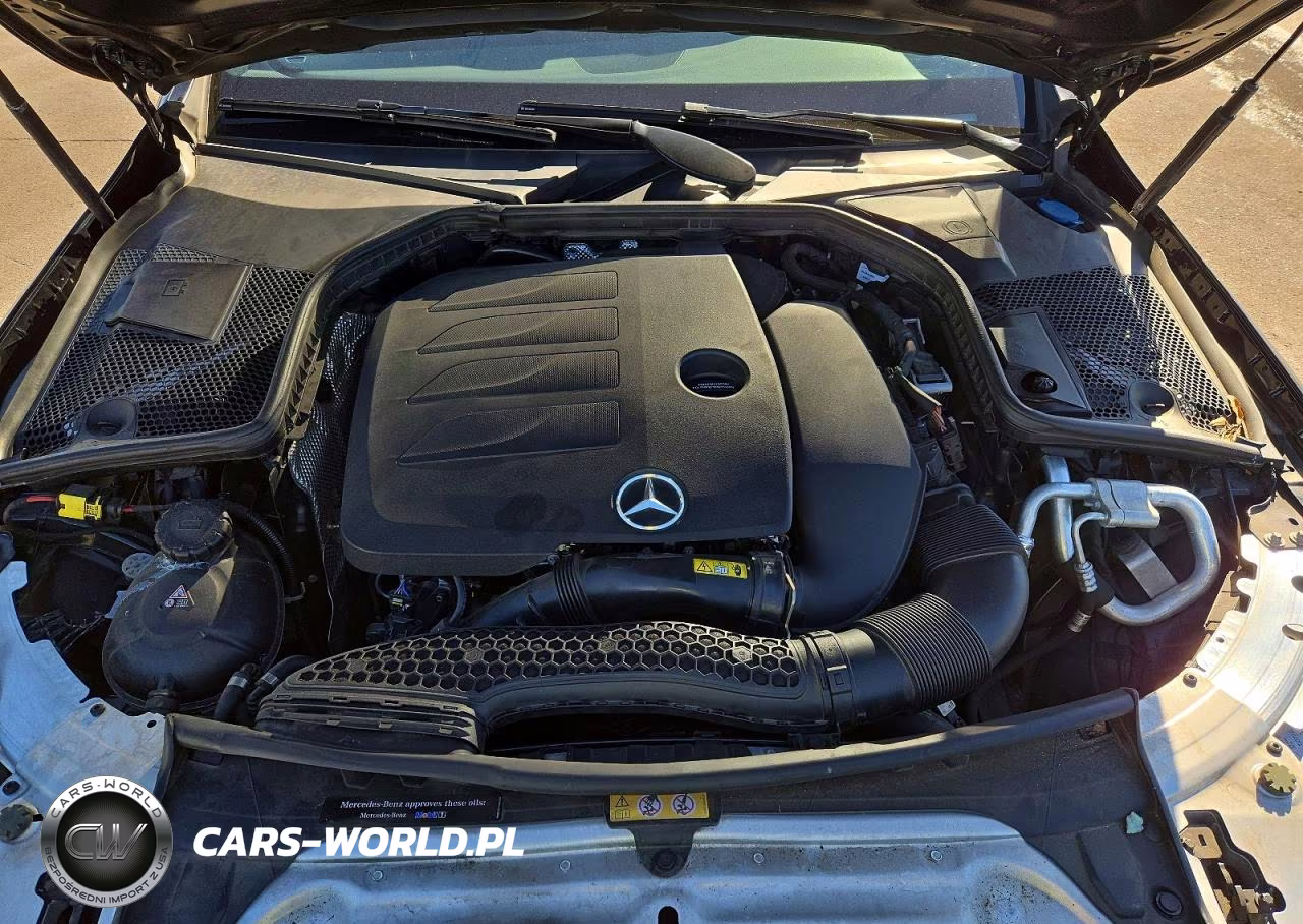 2019 Mercedes-Benz C 300 VIN:55SWF8DB7KU295040 - 11
