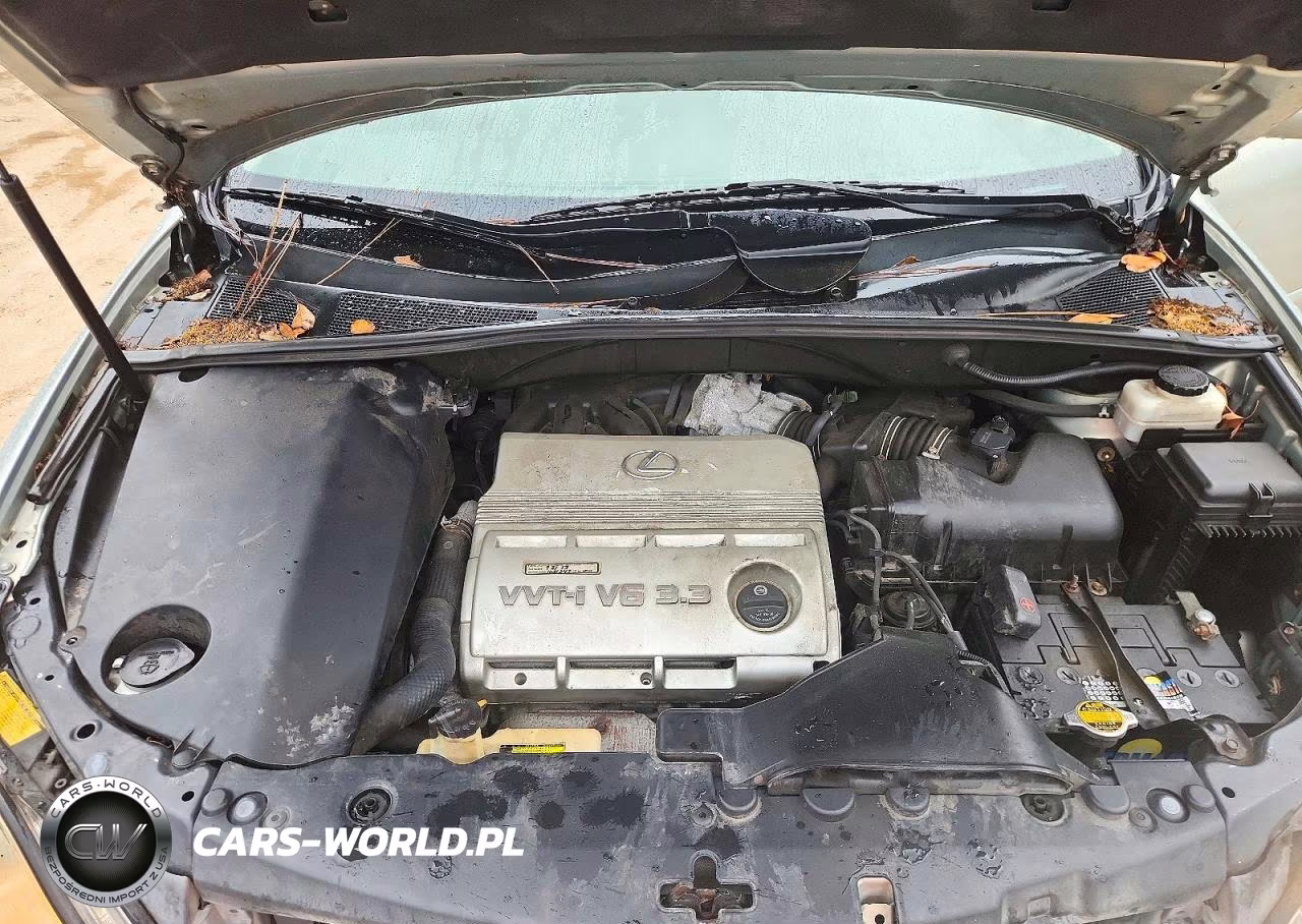 2005 Lexus Rx 330 VIN:2T2HA31U95C074786 - 12