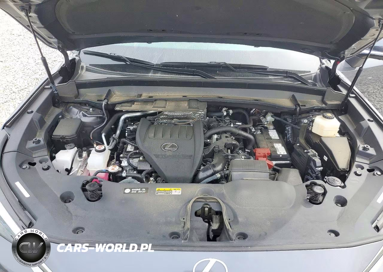 2024 Lexus Tx 350 Luxury VIN:5TDAAAA60RS008197 - 12