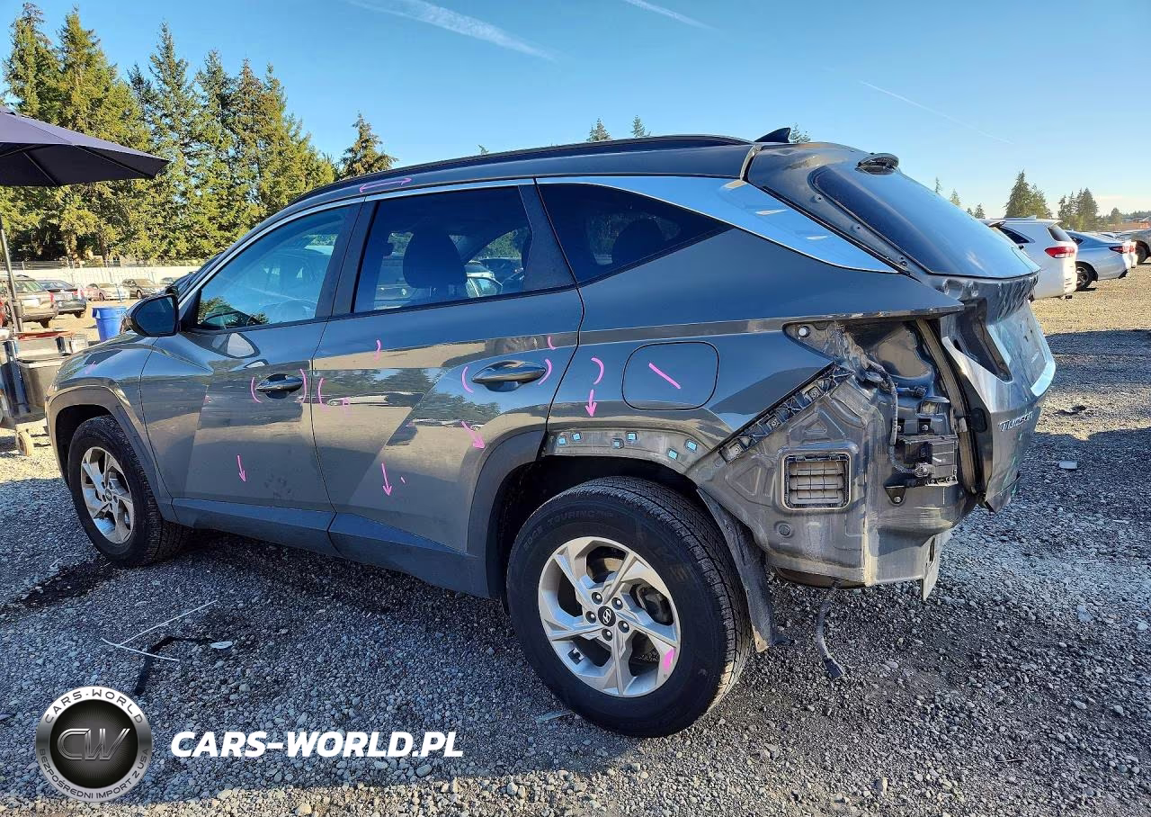 2024 Hyundai Tucson Sel VIN:5NMJBCDE1RH341247 - 2